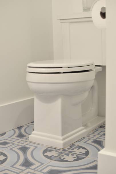 istock Toilet in new home 649545164