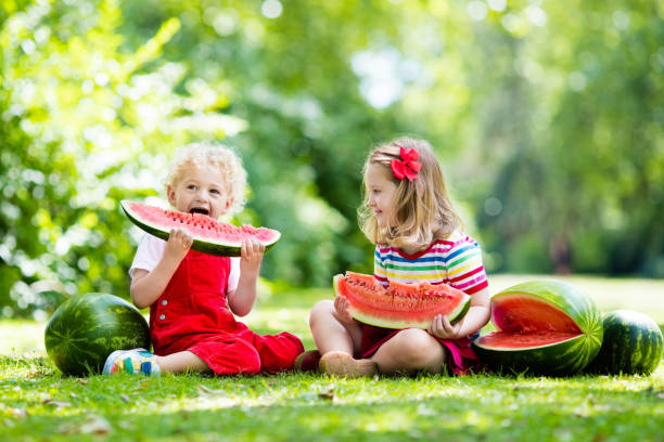 istock Kids eating watermelon in the garden 649546018
