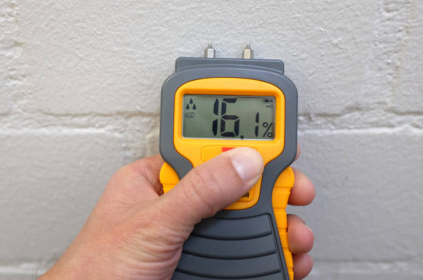 Moisture meter A male hand holding a yellow moisture meter in front of a wall hygrometer photos stock pictures, royalty-free photos & images