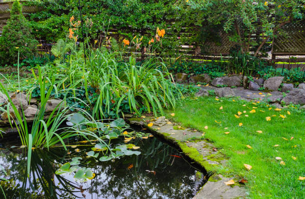 English style backyard fish pond