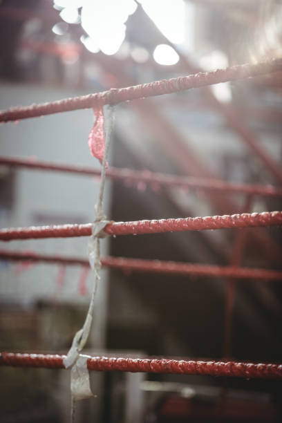 istock Boxing ring in fitness studio 649563548