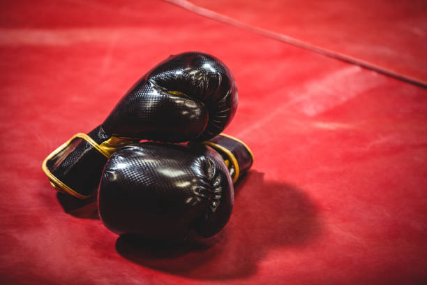 istock Pair of black boxing gloves 649563796