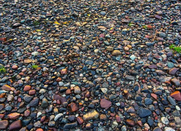 istock Colored stones on the river bank. 649563836