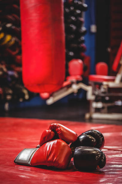 istock Pair of black and red boxing gloves 649563864