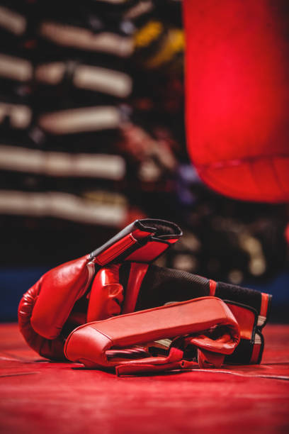 istock Pair of red boxing gloves 649563926
