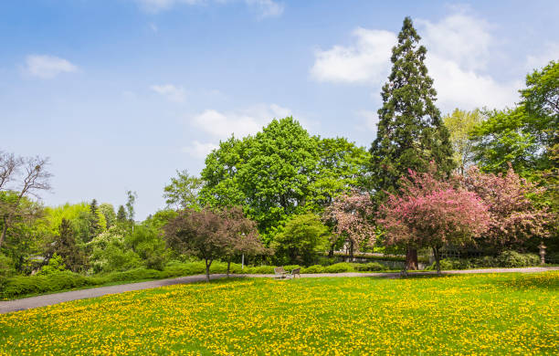 CityPark (Stadtgarten) in center of Freiburg im Breisgau city, Baden-Wurttemberg state, Germany