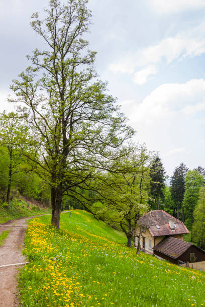 istock Citypark in Freiburg im Breisgau 649568926