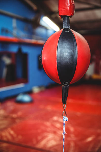 istock Close-up of a speed boxing ball 649569088
