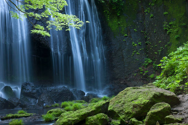 japanse wasserfall landschaft - waterfall stream forest spring stock-fotos und bilder