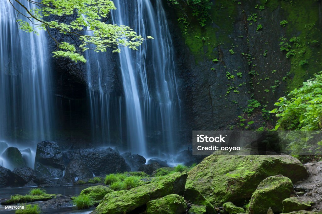 Japanese Waterfall Landscape waterfall behind fresh spring leaves in the forest Waterfall Stock Photo