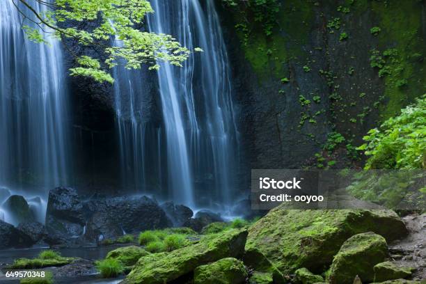 Japanese Waterfall Landscape Stock Photo - Download Image Now - Waterfall, Forest, Japan