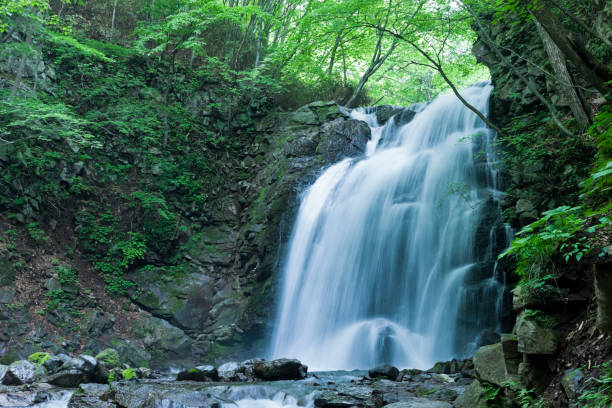 Waterfalls in the Forest close up of waterfalls in the morning gunma prefecture stock pictures, royalty-free photos & images