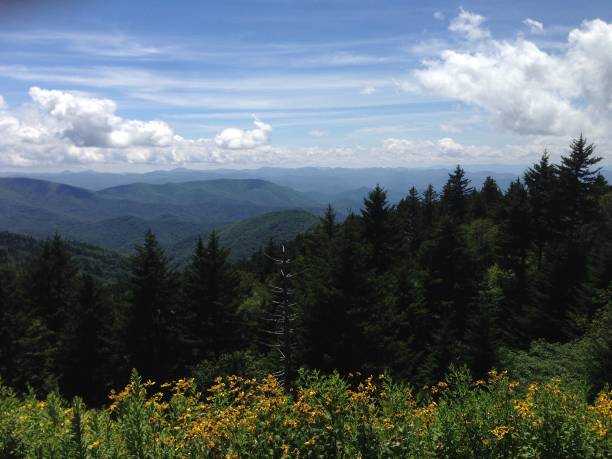 istock The Great Smoky Mountains 649574026