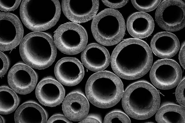 istock Insect Pipes In Community Garden 649576710