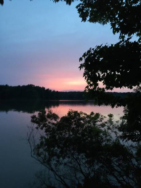 istock Sunset over a lake in Mississippi 649583440