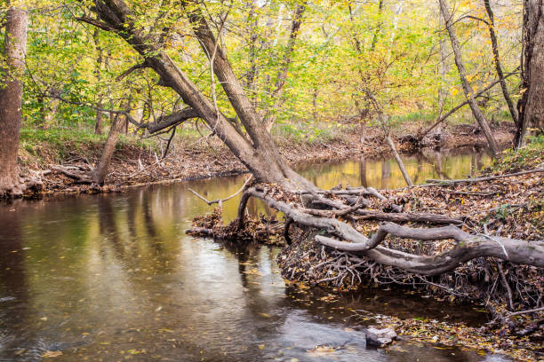 istock Bull Run Landscape near Manassas, VA 649589790