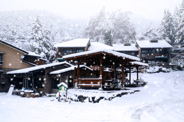 istock Home and snowing background. Winter Background. 649590870
