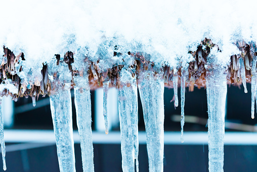 Icicles hanging from the roof in winter