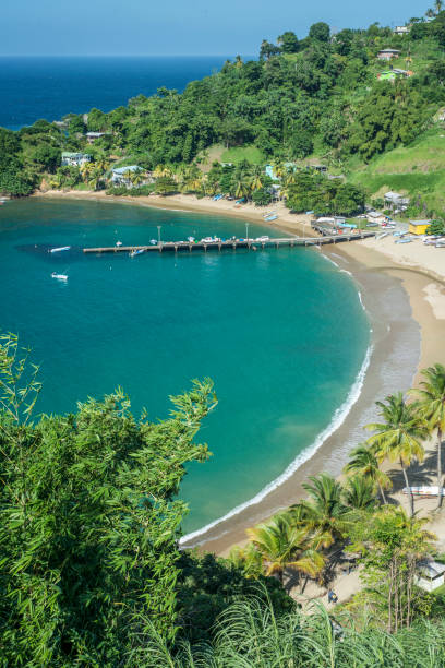 istock Parlatuvier Bay Beach Caribbean Tobago 649601616