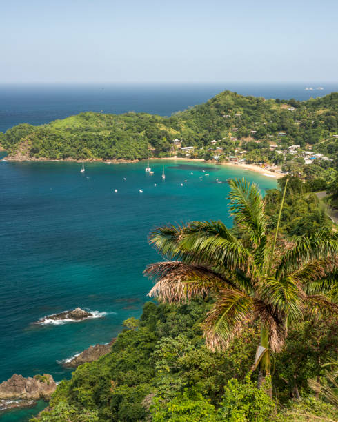 istock Castara Bay Caribbean beach in Tobago 2 649601686
