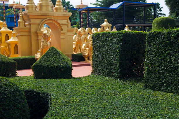 istock The beautiful tropical park 649602078