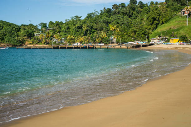 istock Sandy Parlatuvier Bay Beach Caribbean Tobago 649602282