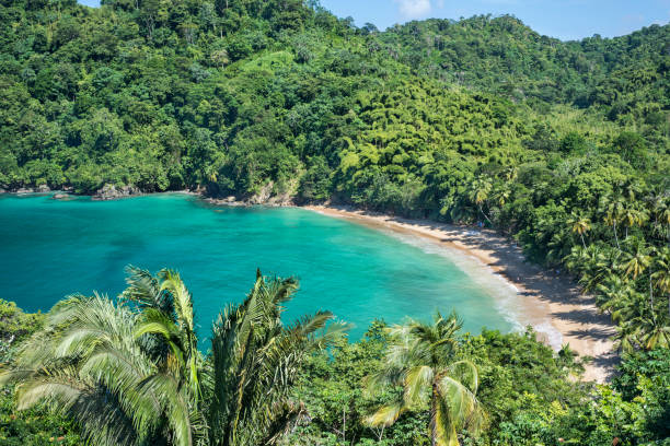 istock Englishmans Bay Beach in Tobago Caribbean 649604556
