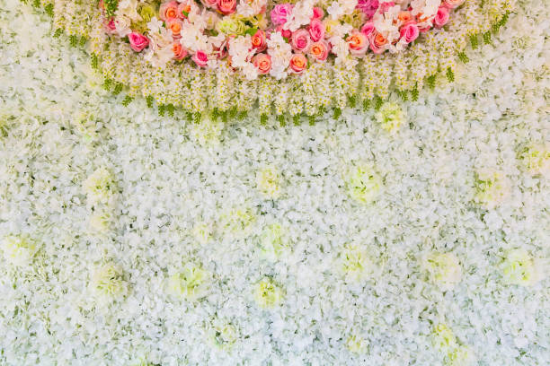 istock Colorful rose flower backdrop on background. 649605190