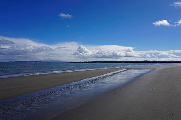 istock Low tide on the Columbia river 649609000