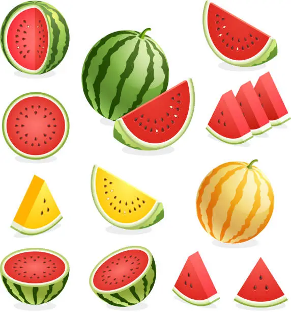 Vector illustration of Watermelon.