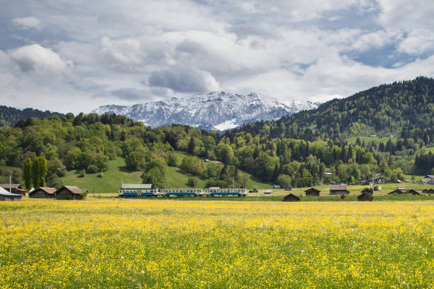istock Alps Garmisch Spring with train an yellow field 649625286
