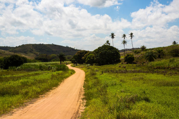 istock Typical Landscape of Pernambuco State, Brazil 649629536