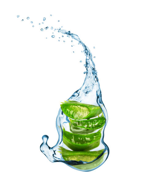 istock aloe vera with water splashes isolated on white background 649633726