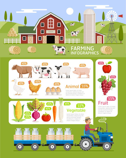 ilustrações de stock, clip art, desenhos animados e ícones de farming infographic elements template. - chicken house