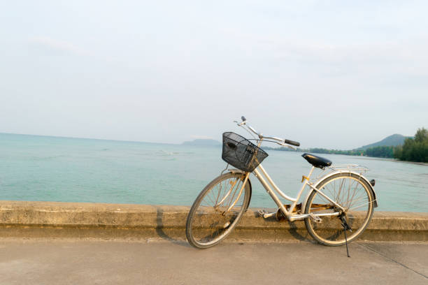 istock Bicycles parked on a bridge in the sea. 649634350