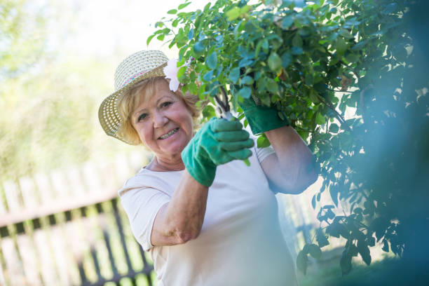 istock Senior woman trimming plants with pruning shears 649635442