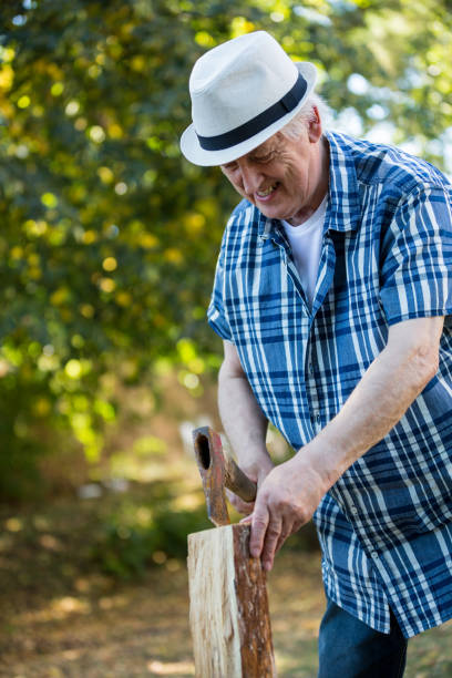 istock Senior man chopping firewood 649635810