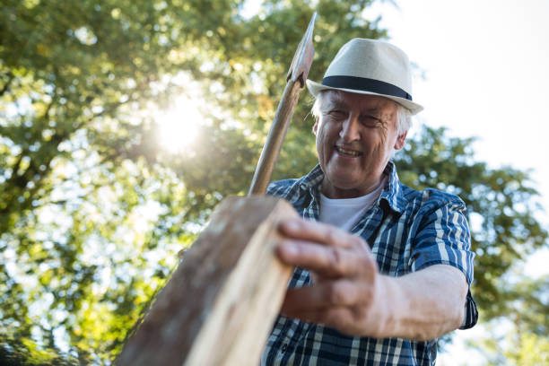 istock Senior man chopping firewood 649637900