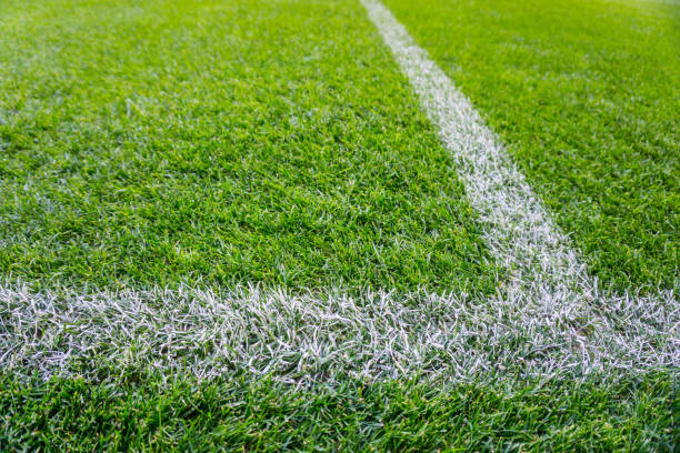 istock Background of wet green grass texture with white lines 649642314