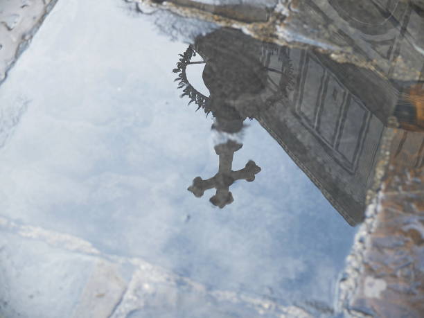 istock Column of Saint Zenobius in a pool, Florence 649642328