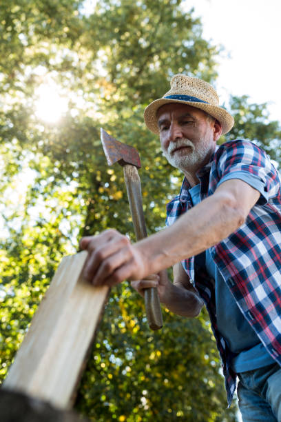 istock Senior man chopping firewood 649642440