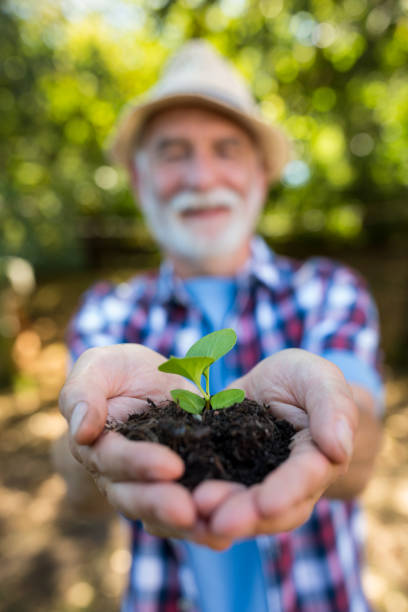 istock Senior man holding crop in his hands 649642568