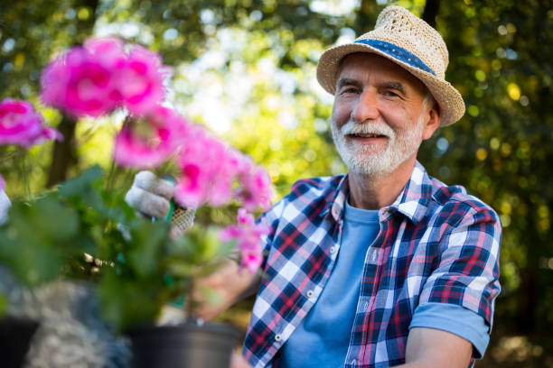 istock Senior man gardening in garden 649642734