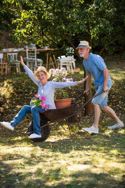 istock Senior couple playing with a wheelbarrow 649643178