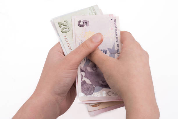 istock Hand holding Turksh Lira banknotes  in hand 649646426