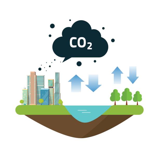 CO2 natural emissions carbon balance cycle between ocean source, city or town productions and forest CO2 natural emissions carbon balance cycle between ocean source, city or town productions and forest. Concept of environmental problem, dioxide pollution issue, climate change vector illustration persistent organic pollutants stock illustrations