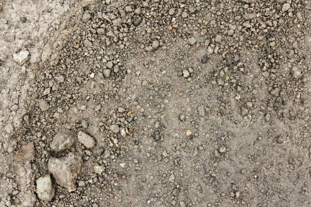 istock Close up wet stony soil in a spring 649653778