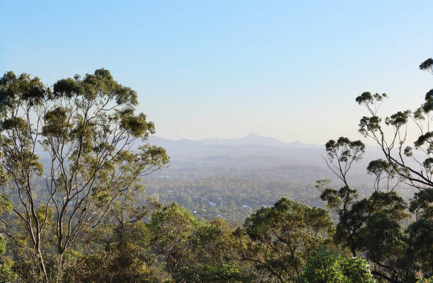 istock Brisbane Lookout at scenic Mt. Coot-tha 649658718