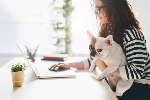 istock I'm not under stress when this cutie is here! 649661704