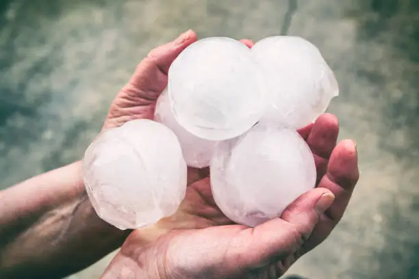 An unrecognizable women is showing a small group of very big ice hailstones just fallen from the sky with violence, holding in her hands. This picture was taken in selective focus on ice, white color sphere shape, impressive hail size has done a lot of damage in march in end of winter season outdoor.